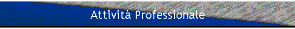Attivit� Professionale