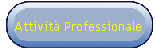 Attivit� Professionale