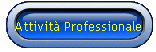 Attivit� Professionale